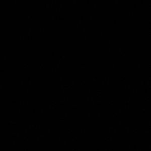 Meet your Posher, Evan